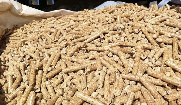 生態(tài)環(huán)境部回應(yīng)！生物質(zhì)成型燃料不是高污染燃料