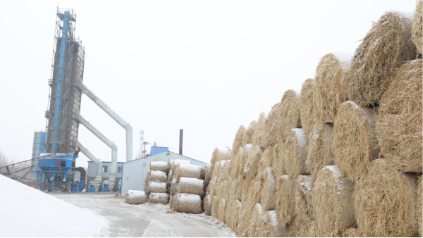 煤炭價格高，烘糧利潤低，吉林大安市500噸糧食烘干塔改用秸稈大包直燃鍋爐，每天省3萬